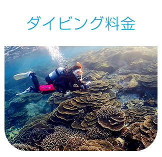 ダイビング料金